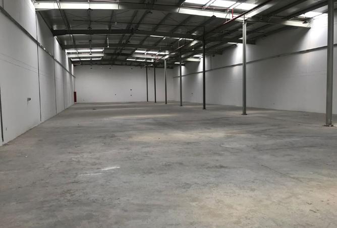 15556267 - صورة العقار 3