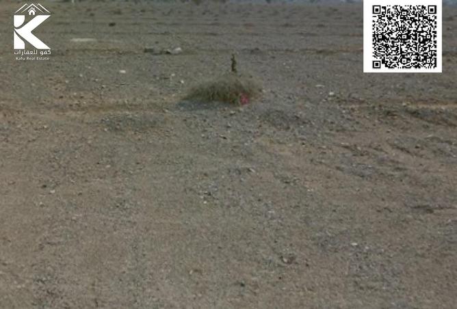 15979851 - Property Image 3