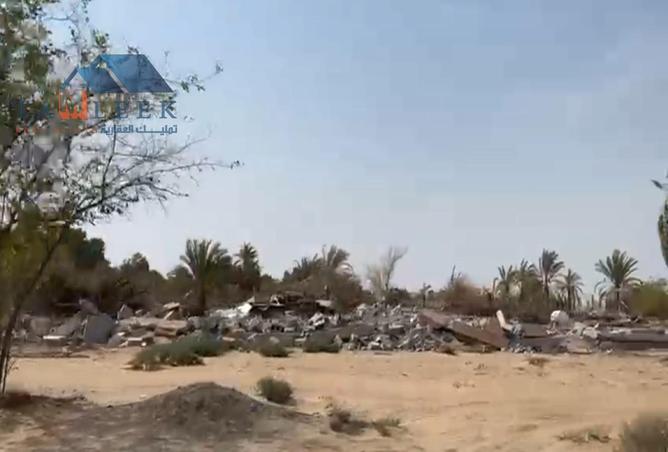 15632556 - Property Image 3