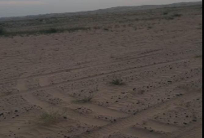 15818685 - صورة العقار 3