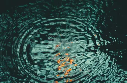 فيلا - 4 غرف نوم - 5 حمامات للبيع في داماك ريفير سايد - ايفي - مجمع دبي للإستثمار - دبي فيلا - 4 غرف نوم - 5 حمامات للبيع في داماك ريفير سايد - ايفي - مجمع دبي للإستثمار - دبي