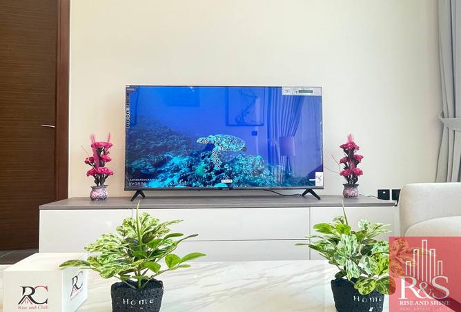 14908471 - Property Image 3