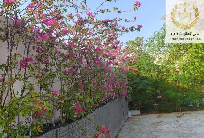 15421016 - صورة العقار 2