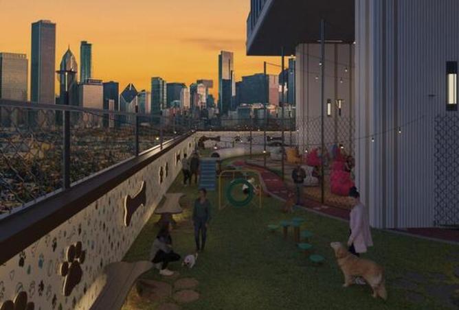 16098493 - Property Image 3