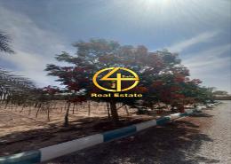 Farm for sale in Sweihan - Al Ain