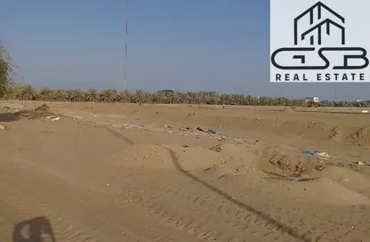 أرض - استوديو للبيع في المنامة - عجمان أرض - استوديو للبيع في المنامة - عجمان