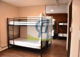 Staff Accommodation - 4 bathrooms for rent in M-26 - Mussafah Industrial Area - Mussafah - Abu Dhabi