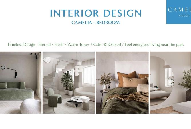 15496554 - Property Image 3