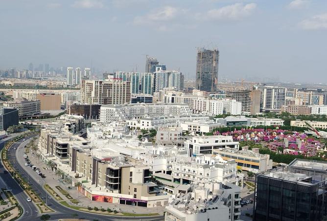 15962060 - Property Image 3