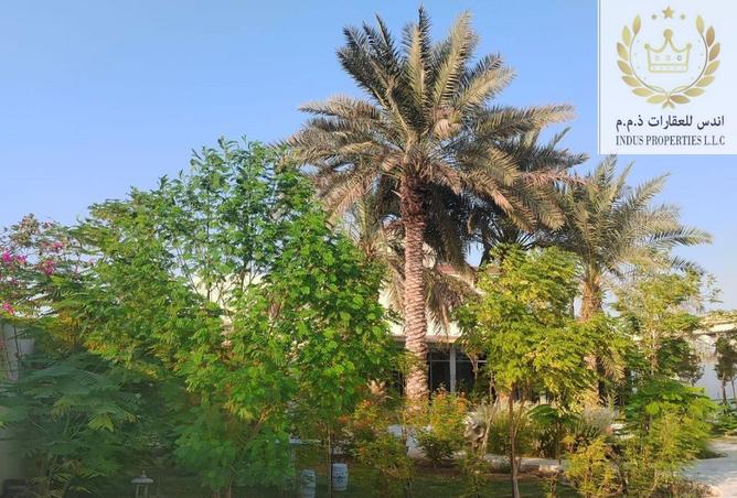 15421016 - صورة العقار 3