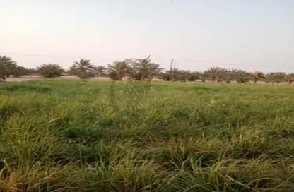 Farm - Studio for sale in Mudfak - Ras Al Khaimah Farm - Studio for sale in Mudfak - Ras Al Khaimah
