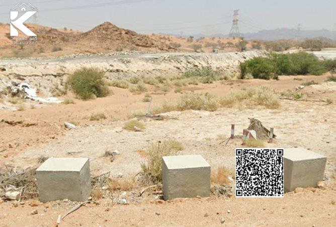 15813748 - Property Image 2