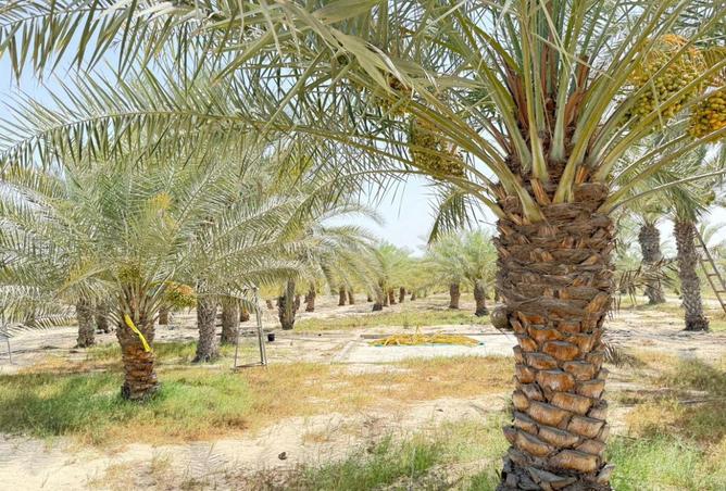 15895977 - Property Image 2