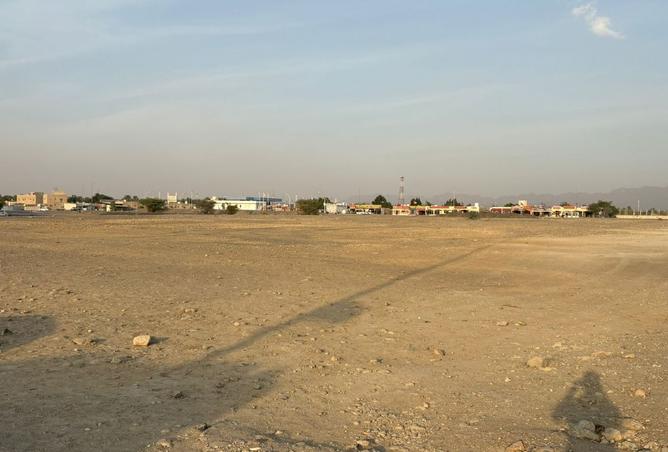 15596567 - Property Image 2