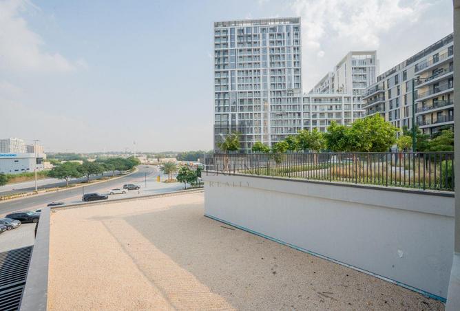 15967274 - Property Image 3