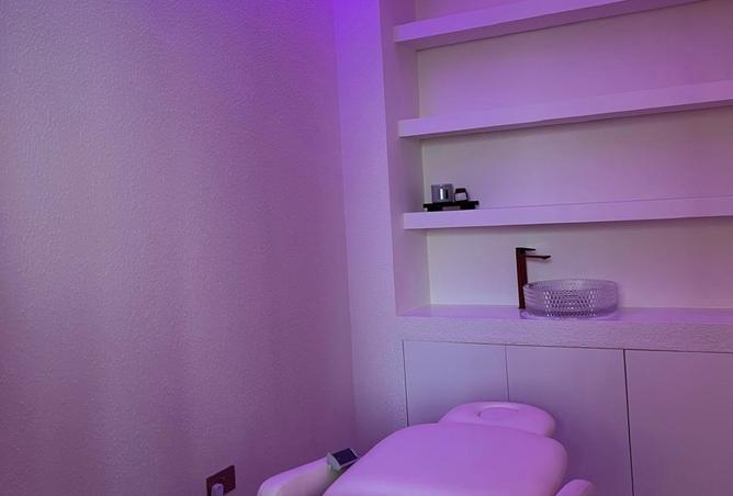 16074421 - Property Image 3