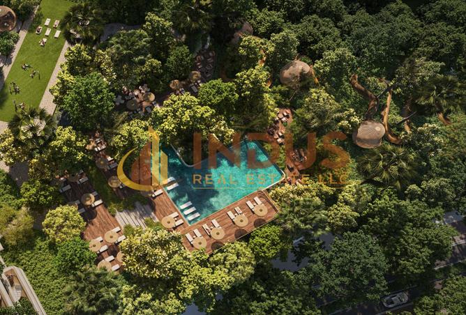 15646872 - Property Image 3