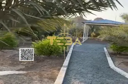 Farm - Studio for sale in Masfoot 1 - Masfoot - Ajman
