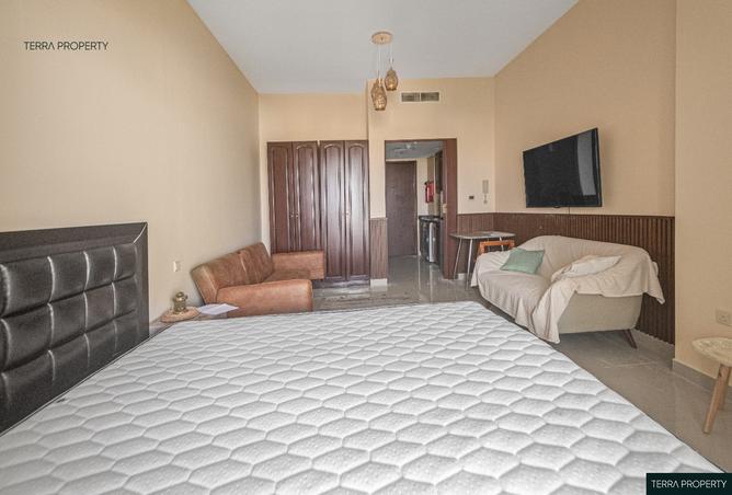 14836937 - Property Image 2