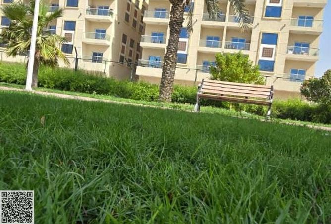 15305584 - صورة العقار 2