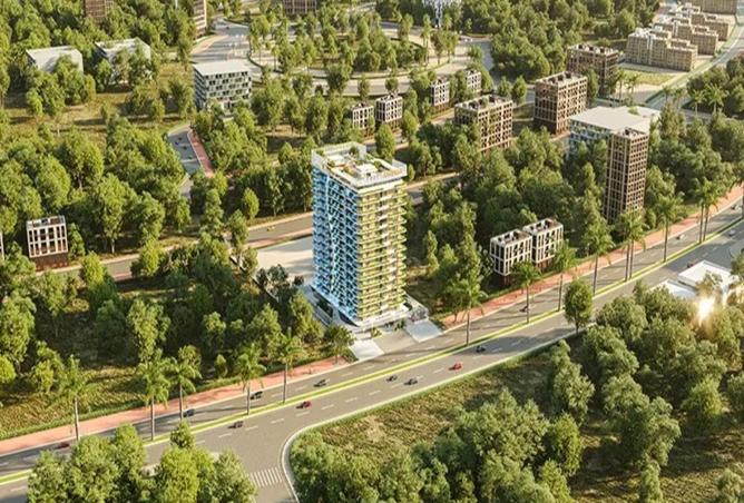 15893277 - Property Image 2