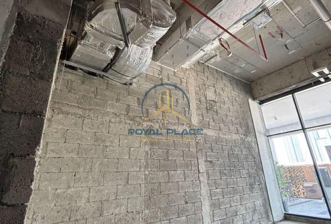 15569198 - Property Image 3