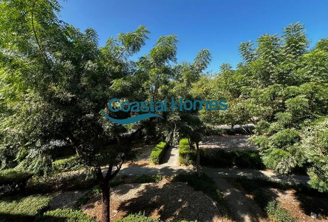 15894855 - صورة العقار 2