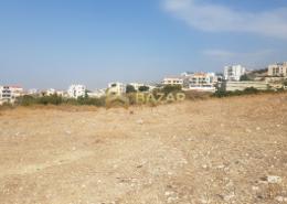 Outdoor Building image for: Land for sale in Binal Jesrain - Between Two Bridges - Abu Dhabi, Image 1