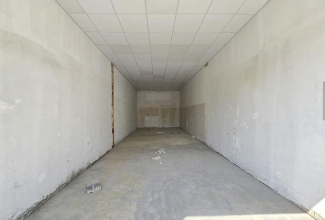 15304943 - Property Image 3
