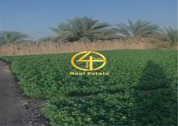 Garden image for: Farm for sale in Al Rawdah Al Sharqiyah - Al Ain, Image 1