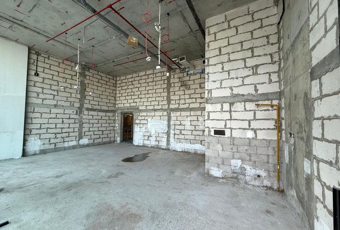 15499367 - Property Image 2