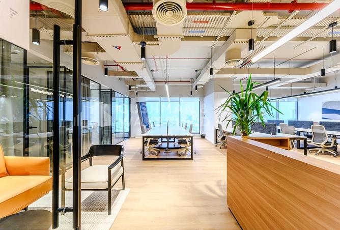 15249791 - صورة العقار 3