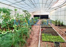 Farm for sale in Al Samha - Abu Dhabi