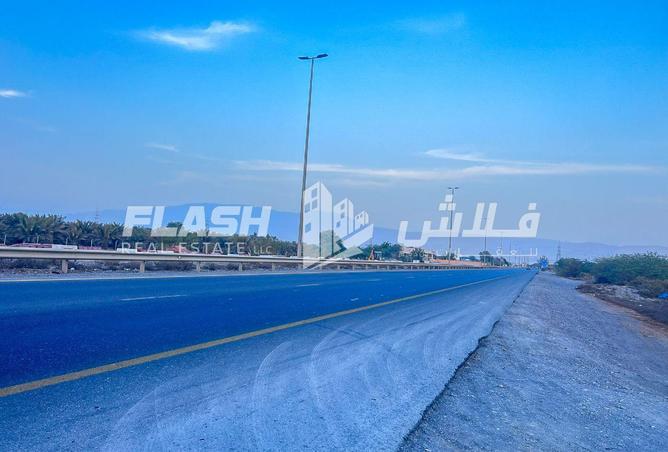 15149092 - Property Image 3