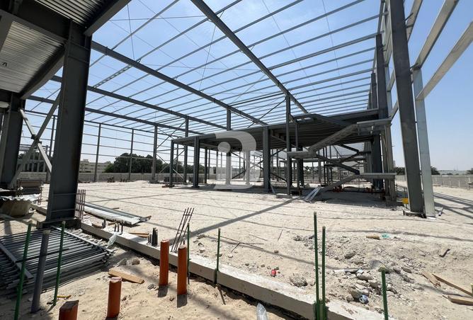 16006842 - Property Image 3