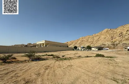 أرض - استوديو للبيع في مصفوت 3 - مصفوت - عجمان