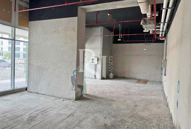 16050529 - Property Image 3