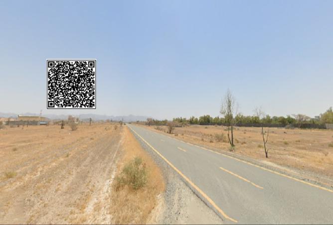 15651323 - Property Image 3