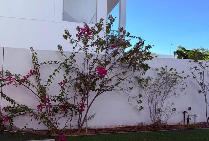 15918531 - Property Image 3