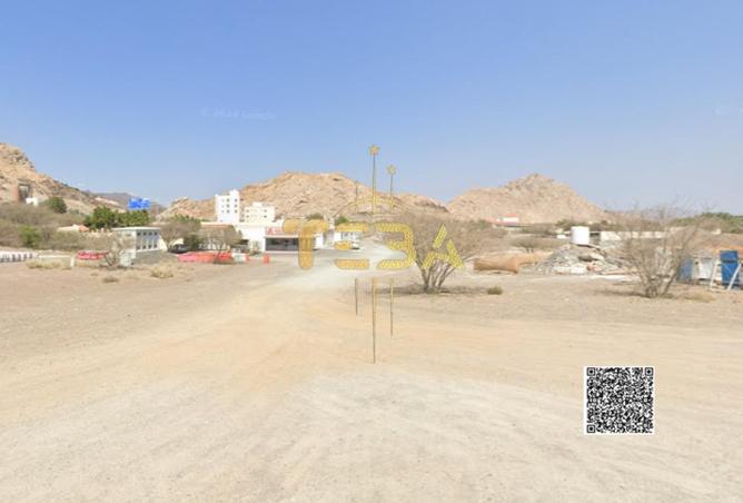15049280 - Property Image 3