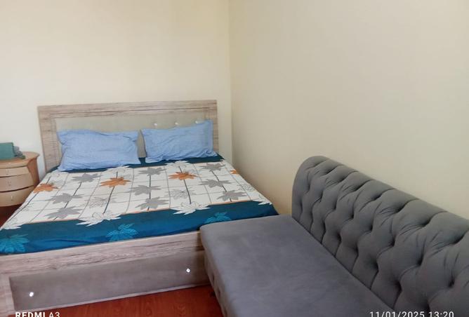 15597416 - Property Image 2