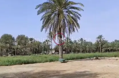 مزرعة - استوديو للبيع في الهير - العين