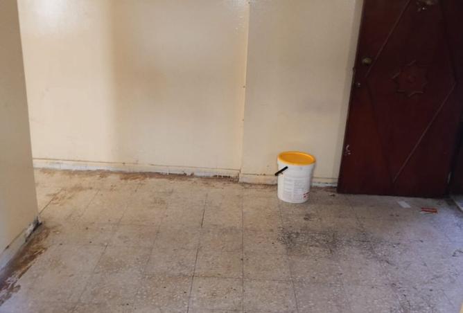 16059779 - Property Image 3