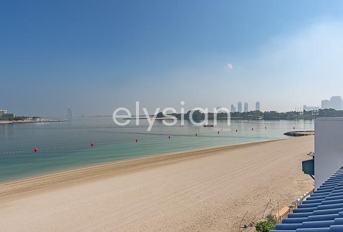 16075393 - صورة العقار 3