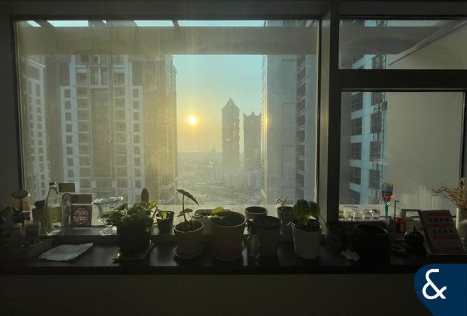 15565469 - صورة العقار 3