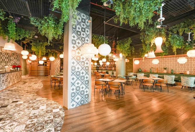 15488043 - Property Image 3