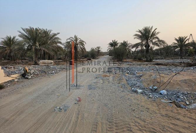 15817238 - Property Image 2