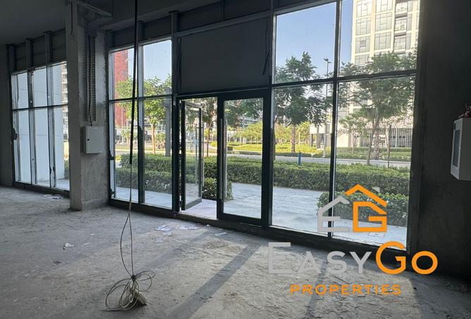 14249377 - Property Image 3