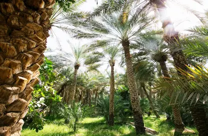أرض - استوديو للبيع في الرحبة - المنيرة - شاطئ الراحة - أبوظبي