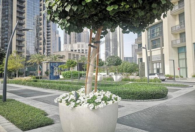 11162743 - صورة العقار 3